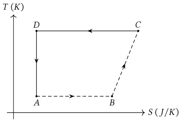 Entropia 8
