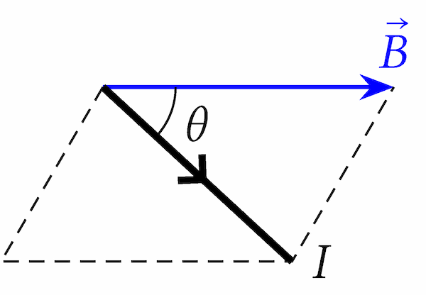 filo percorso da corrente elettrica ed immerso in un campo magnetico