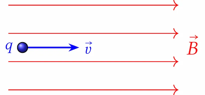 Induzione Magnetica 4