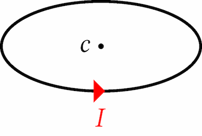 spira circolare percorsa da corrente