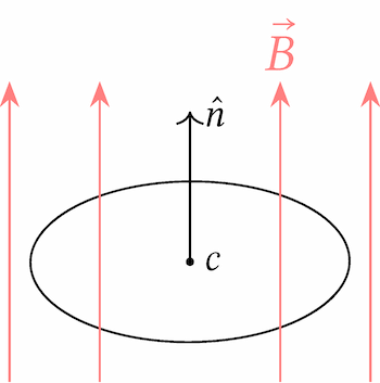 bobina circolare in un campo magnetico