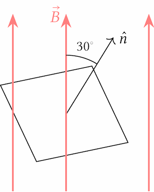 spira quadrata immersa in un campo magnetico e inclinata