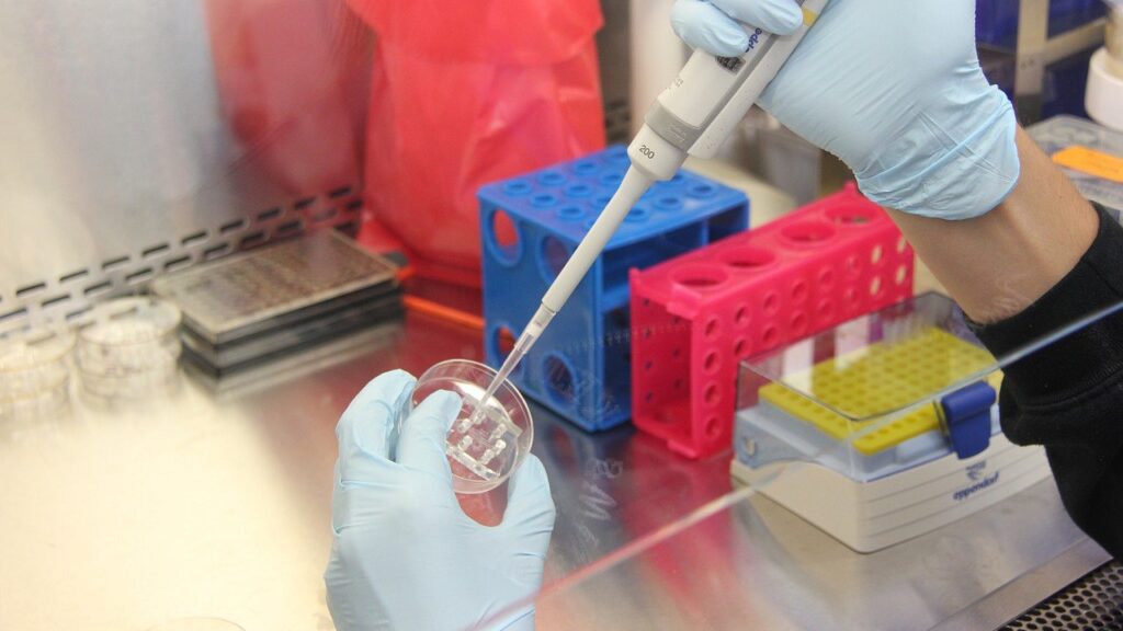 Dai funghi delle tombe egizie a potenziali armi contro il cancro Immagine che raffigura la preparazione di campioni liquidi in laboratorio