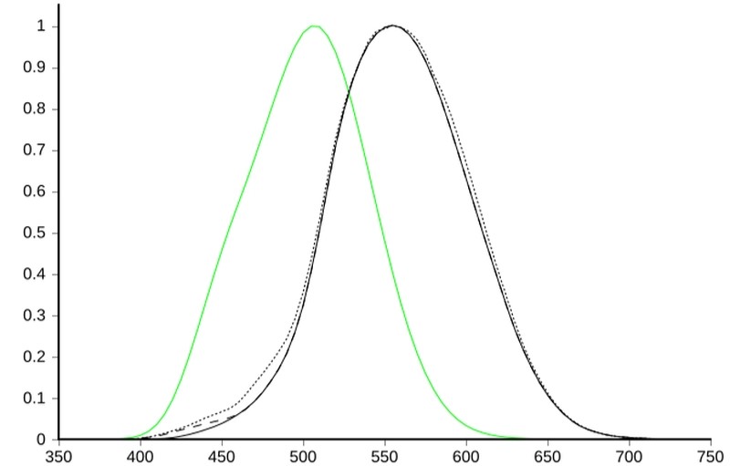 Curve di efficienza luminosa: fotopica (in nero) e scotopica (in verde), in funzione della lunghezza d’onda espressa in nanometri.